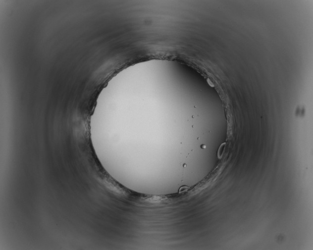 X0000102240432200807250842