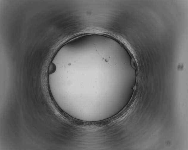 X0000102240433200807250842