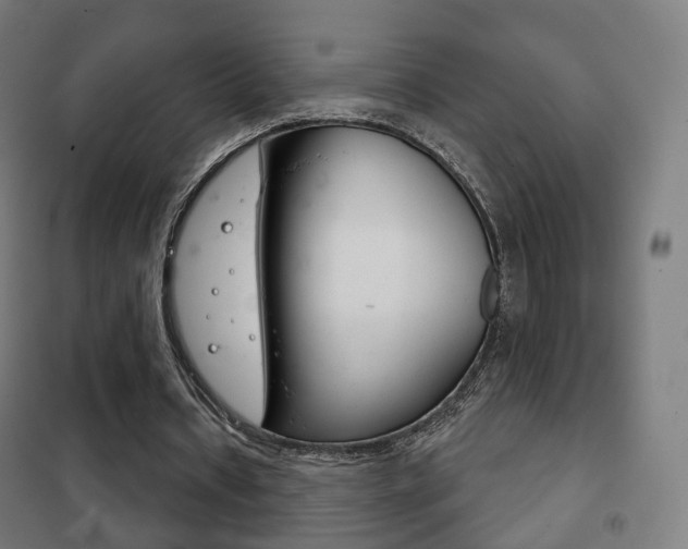 X0000102240434200807250842