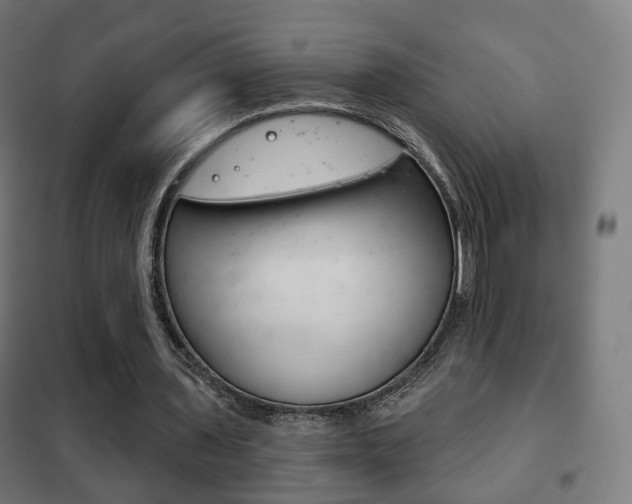X0000102240435200807250842