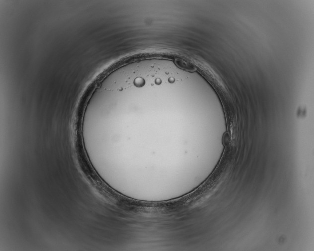 X0000102240436200807250842