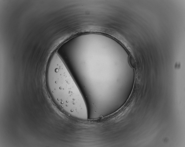 X0000102240437200807250842