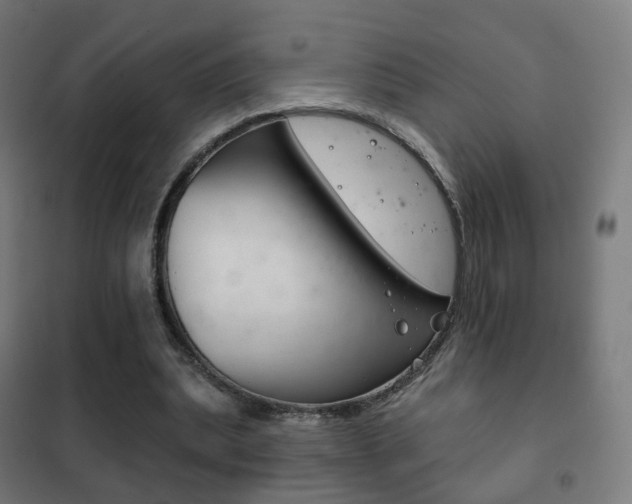 X0000102240439200807250842