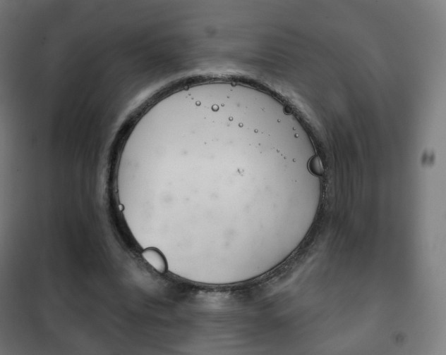 X0000102240440200807250842