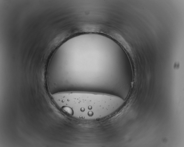 X0000102240441200807250842