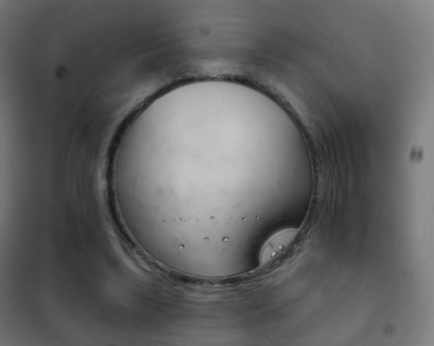 X0000102240443200807250842