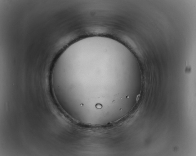 X0000102240447200807250842