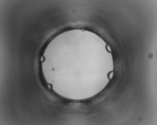 X0000102240448200807250842