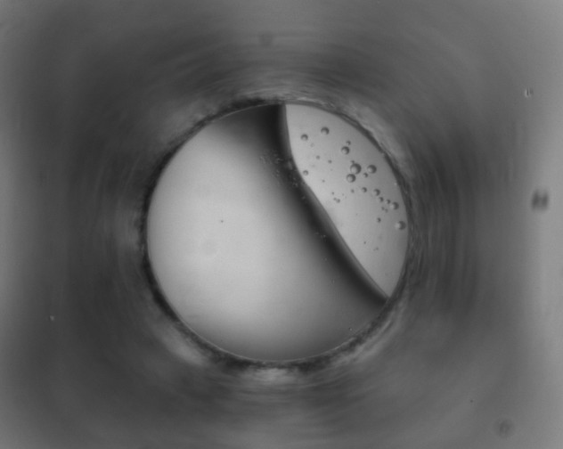 X0000102240449200807250842