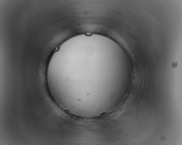 X0000102240450200807250842