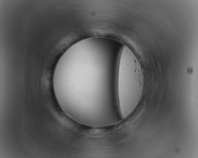 X0000102240451200807250842