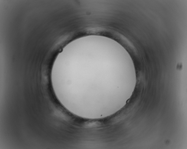 X0000102240452200807250842