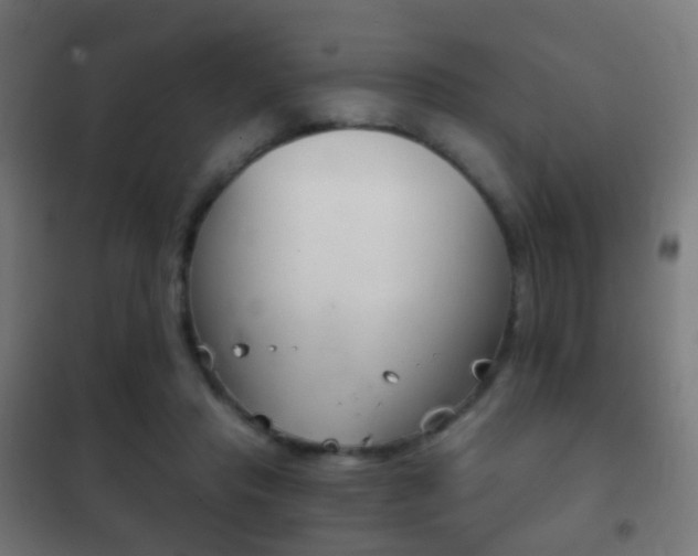 X0000102240453200807250842