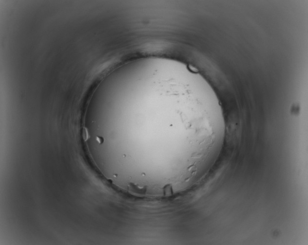 X0000102240454200807250842