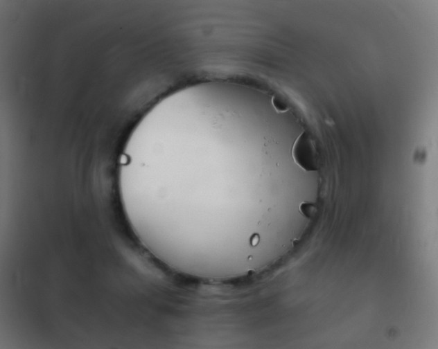 X0000102240455200807250842