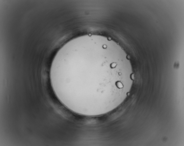 X0000102240456200807250842