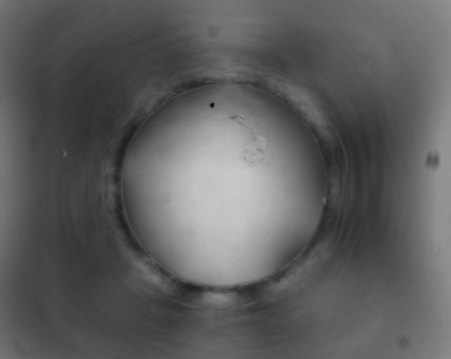 X0000102240457200807250842