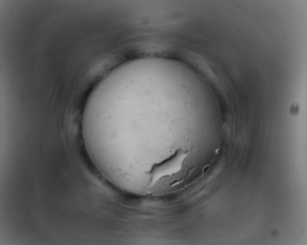 X0000102240458200807250842