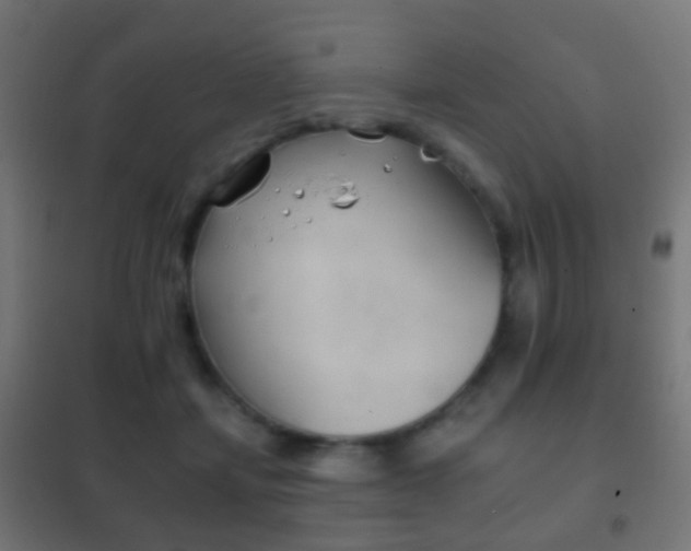 X0000102240459200807250842
