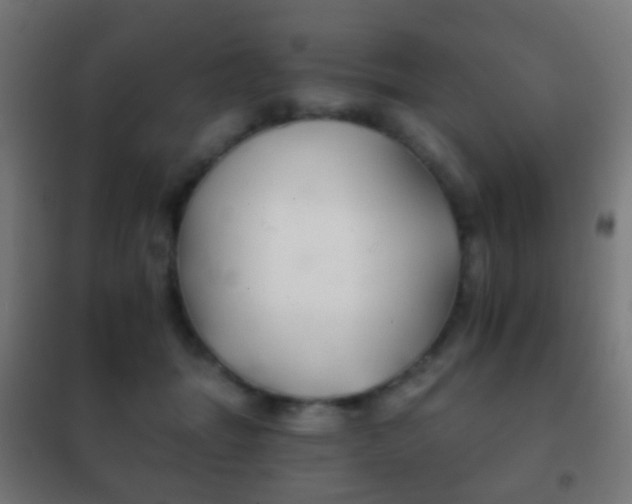 X0000102240463200807250842