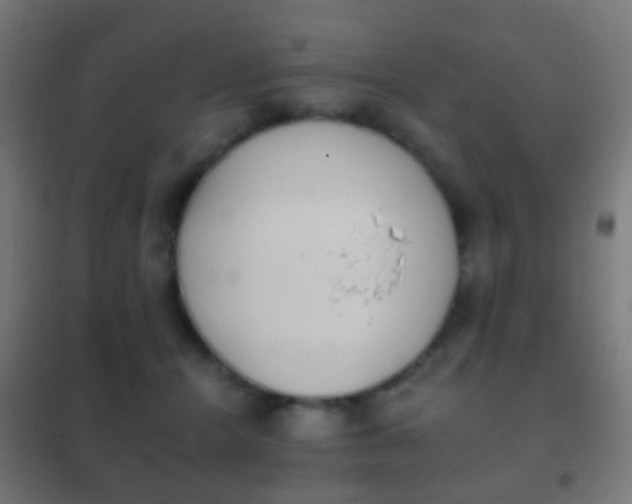 X0000102240464200807250842