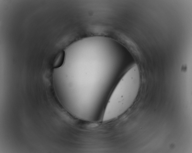 X0000102240465200807250842
