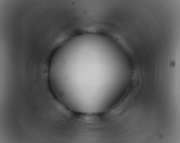 X0000102240466200807250842