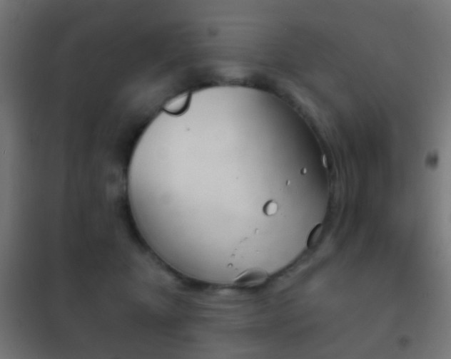 X0000102240467200807250842