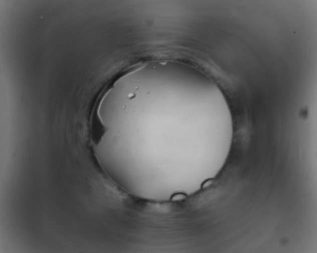 X0000102240469200807250842