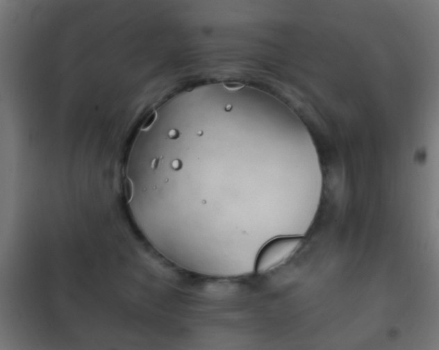 X0000102240470200807250842