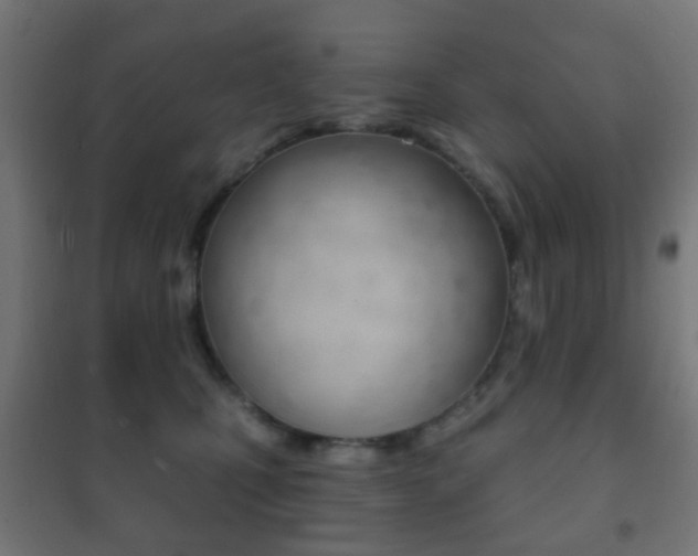 X0000102240471200807250842