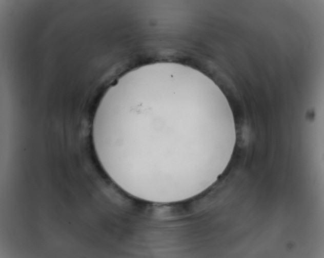 X0000102240472200807250842