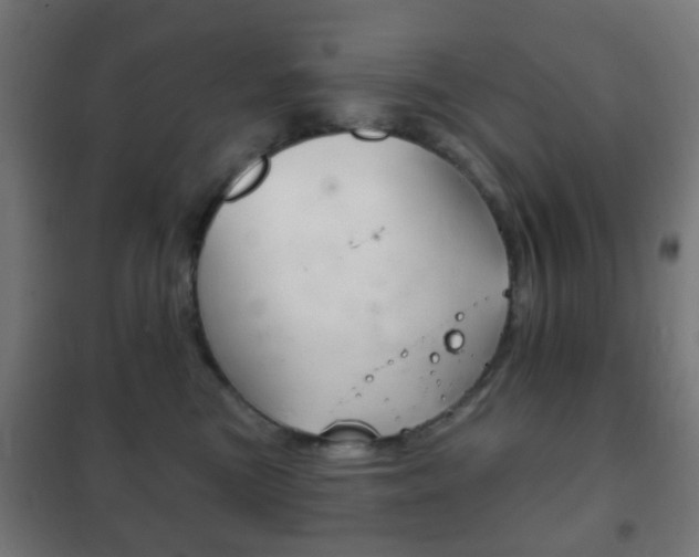 X0000102240473200807250842