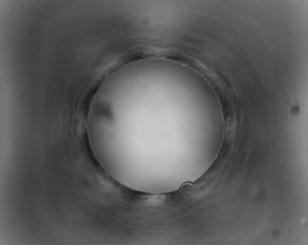 X0000102240474200807250842