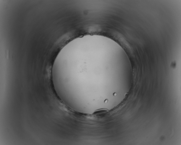 X0000102240475200807250842