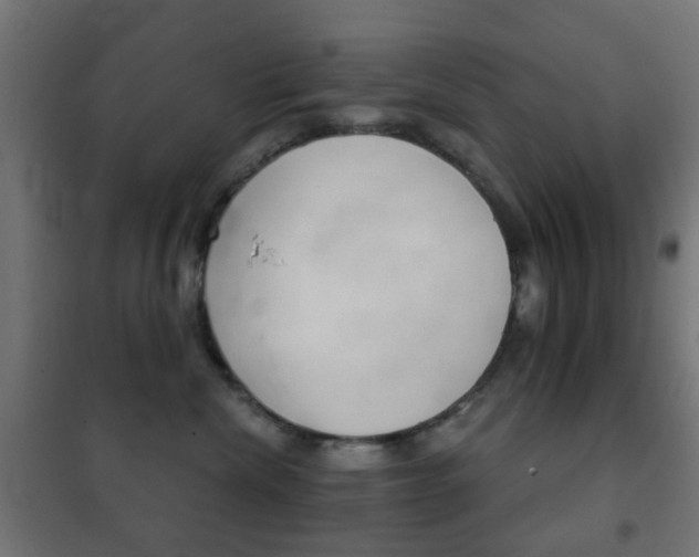 X0000102240476200807250842