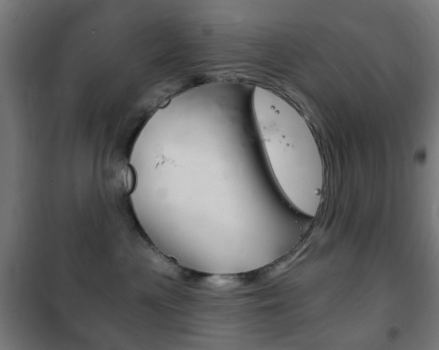 X0000102240477200807250842