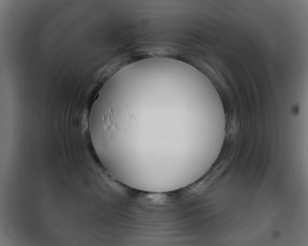 X0000102240478200807250842