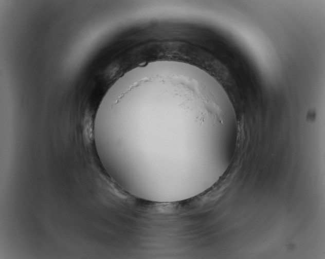 X0000102240479200807250842
