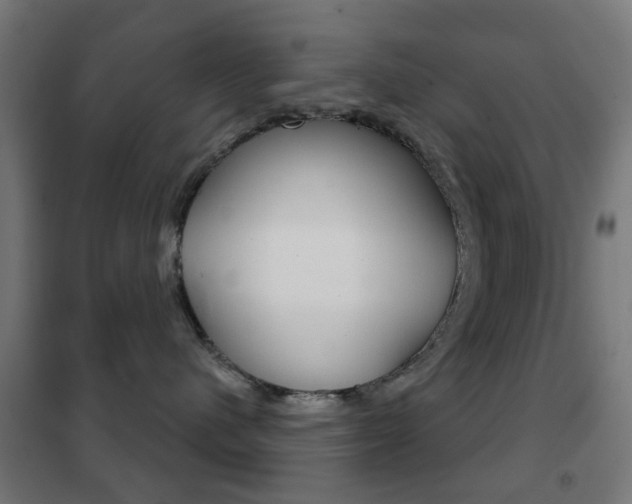 X0000102240480200807250842
