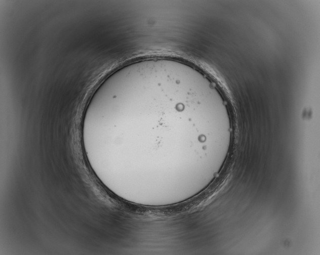 X0000102240481200807250842