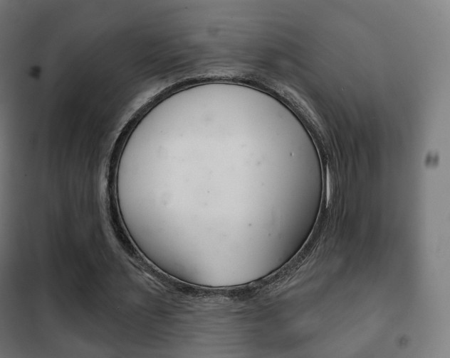 X0000102240483200807250841
