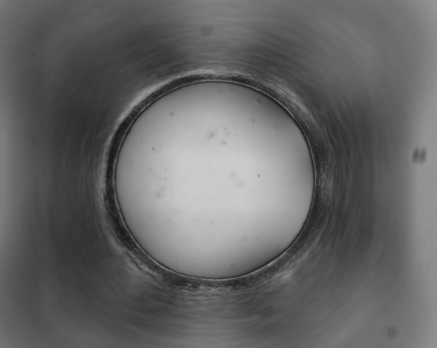 X0000102240484200807250841