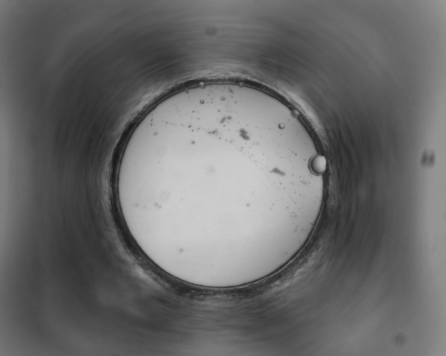 X0000102240485200807250841