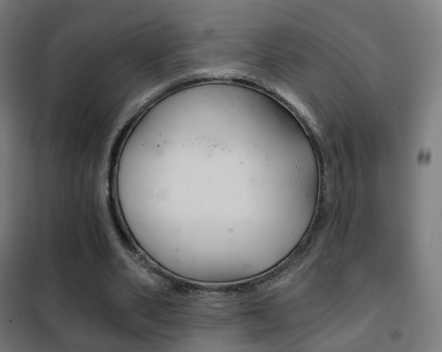 X0000102240486200807250841