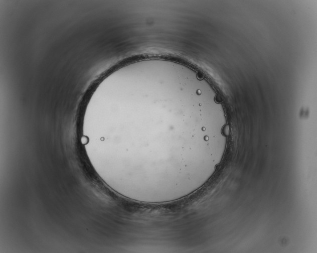 X0000102240488200807250841