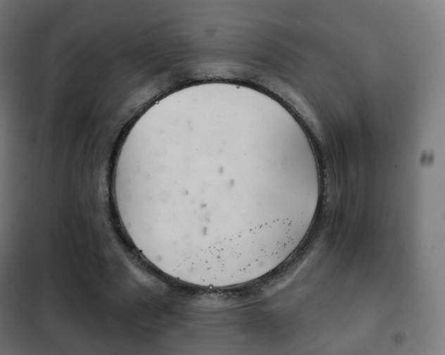 X0000102240489200807250841