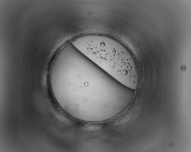 X0000102240491200807250841