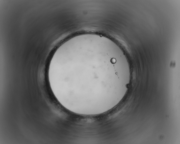 X0000102240492200807250841