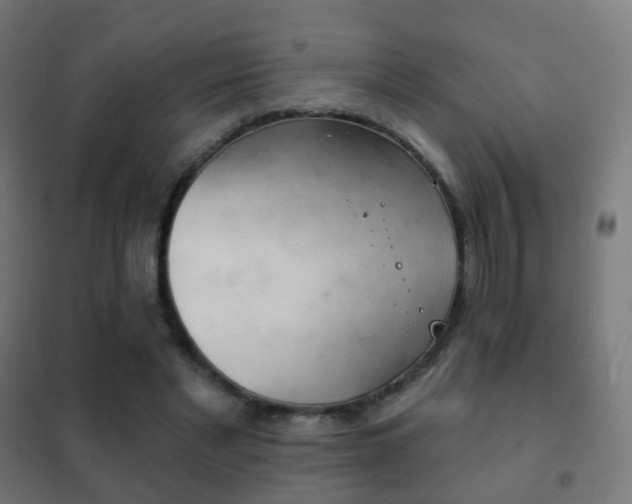 X0000102240493200807250841